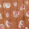 Bengal Praline