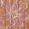 Matira Praline